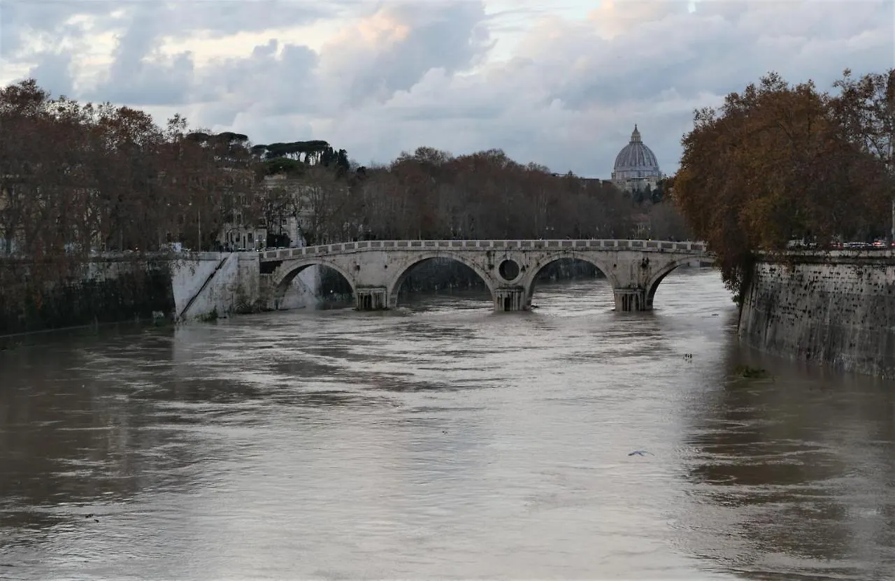 La Tana Di Sofia Hotel Rome Guest house